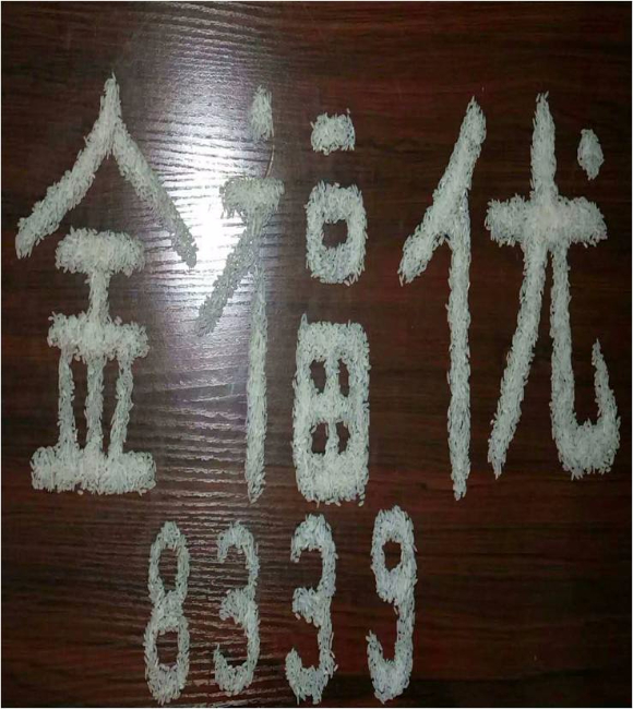 金福優8339