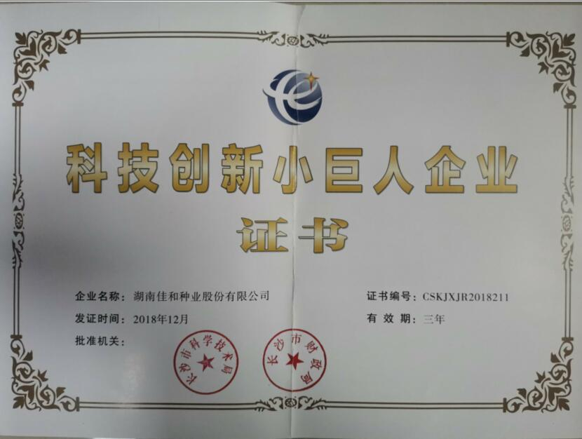 科技創新小巨人企業