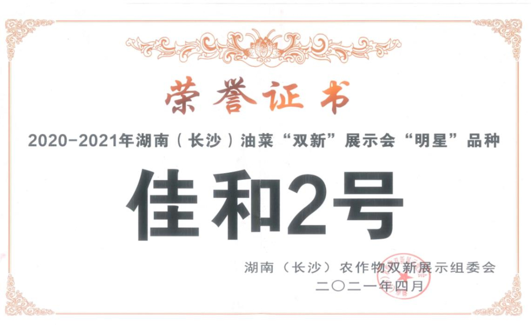 佳和2號榮獲湖南長沙油菜“雙新”展示會“明星”品種
