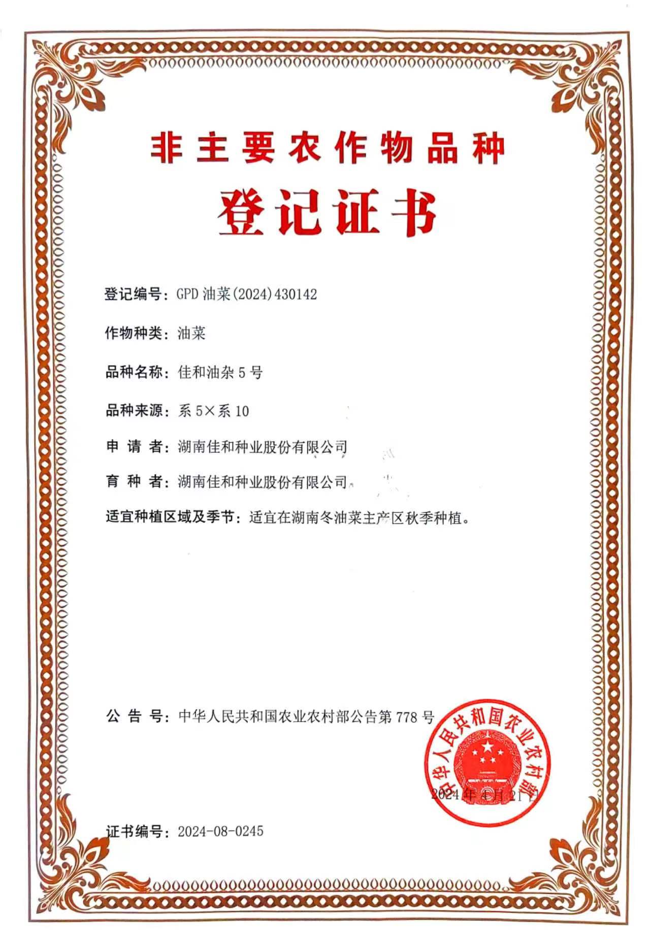 佳和油雜5號(hào).jpg