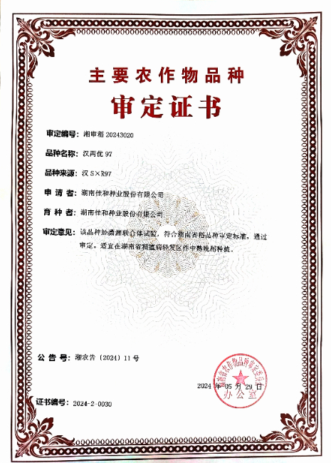 漢兩優97